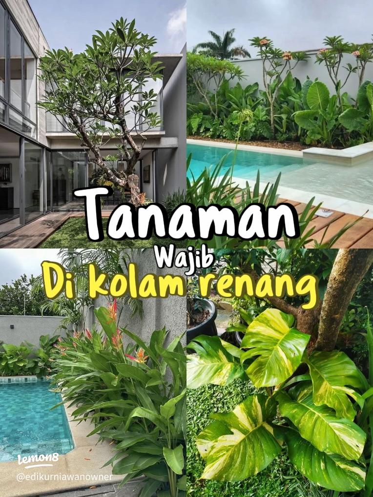 10+ Tanaman Air Terbaik untuk Kolam Ikan Mas Koki: Jernih & Estetis!