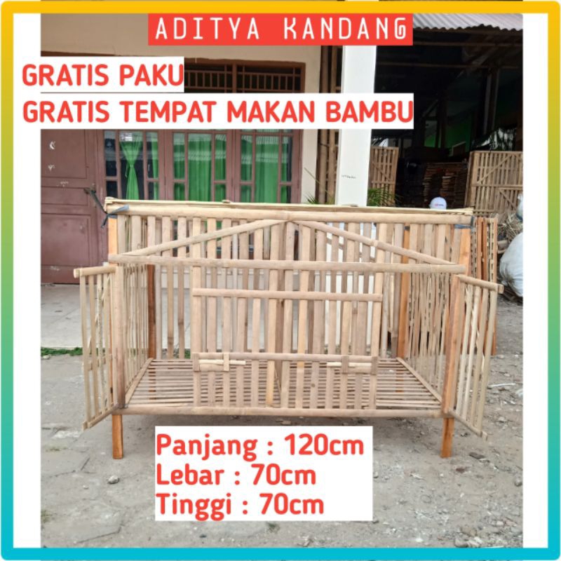 4. Kunci Utama: Kebersihan Kandang Harian dan Mingguan