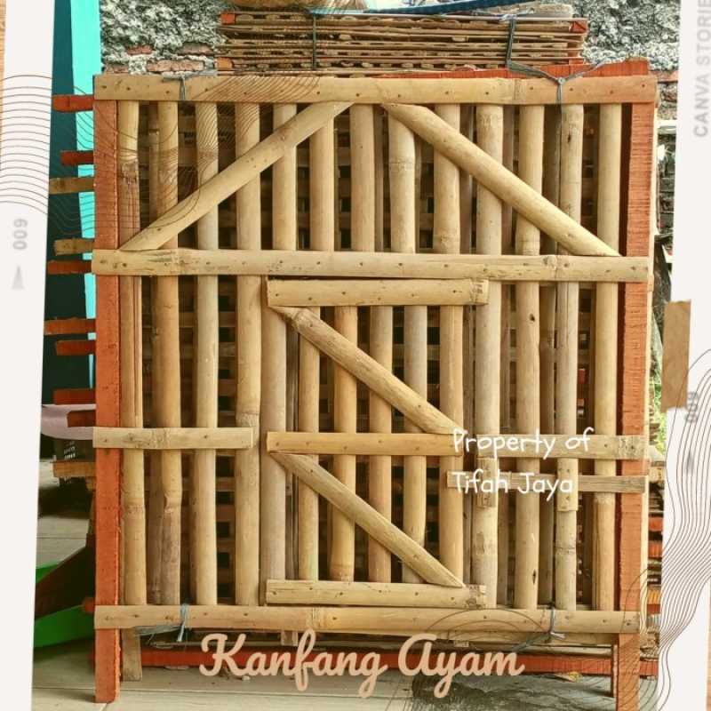 5. Cegah Serangan Hama dan Pertumbuhan Jamur