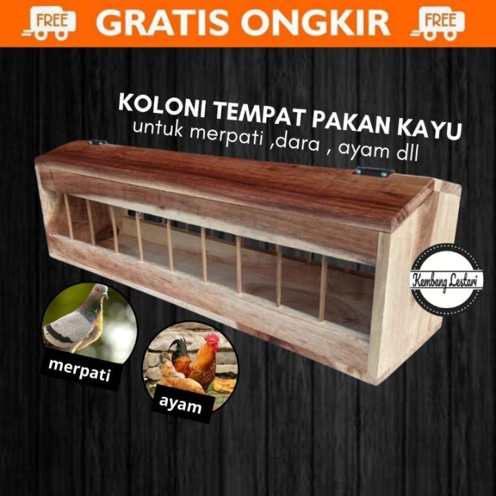 5 Model Desain Tempat Pakan Ayam Anti Tumpah Populer