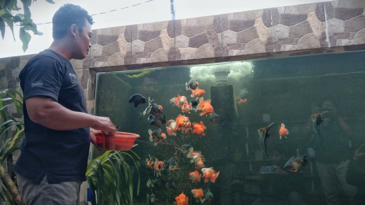 Bahaya Overfeeding dan Cara Menghindarinya