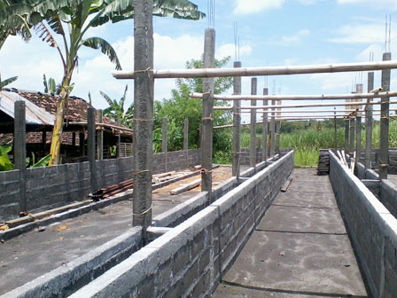 Cara Membuat Drainase Kandang Anti Becek dan Bebas Penyakit
