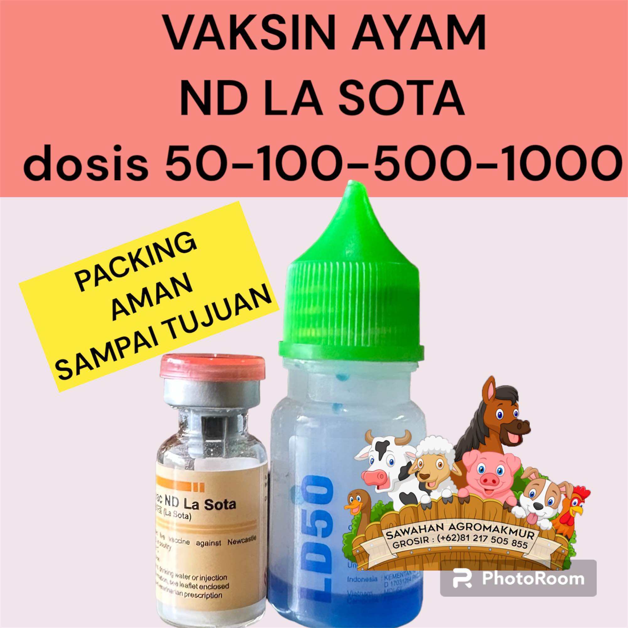 Cegah Penyakit Mematikan! Inilah Jadwal Vaksinasi Wajib untuk Ayam Hias Anda