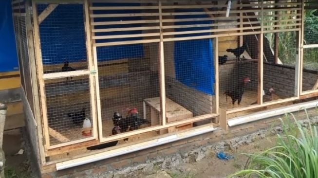 Estimasi Rincian Biaya untuk Kandang Skala Rumahan (Contoh Kasus)