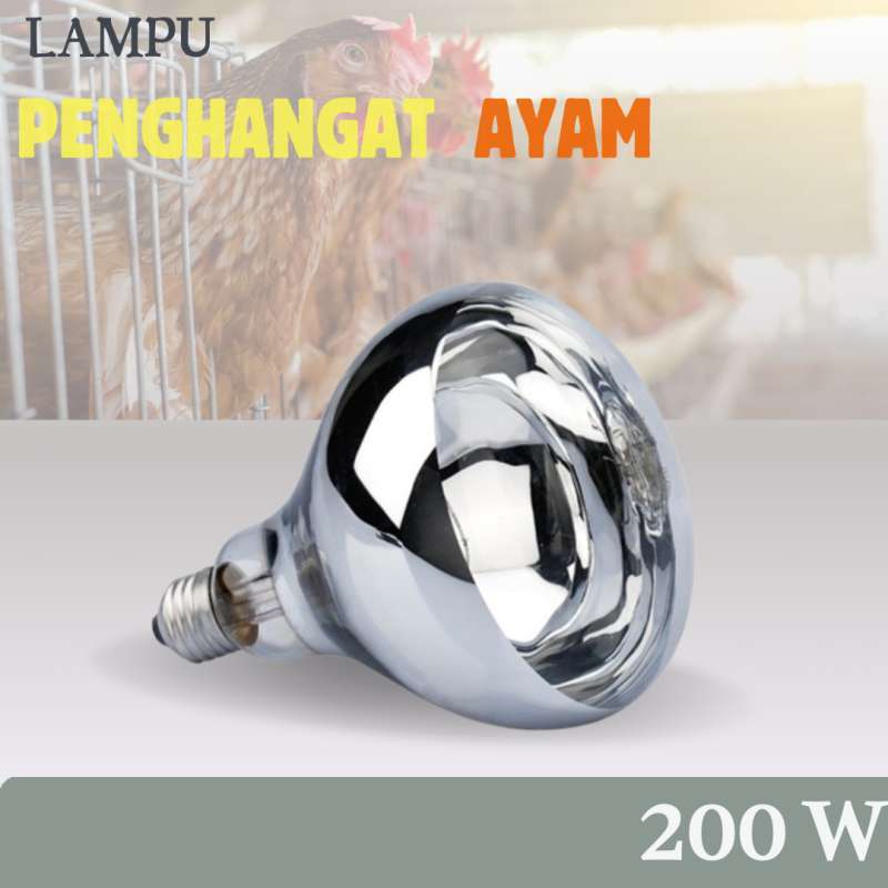 Faktor Kunci dalam Memilih Lampu Pemanas Terbaik