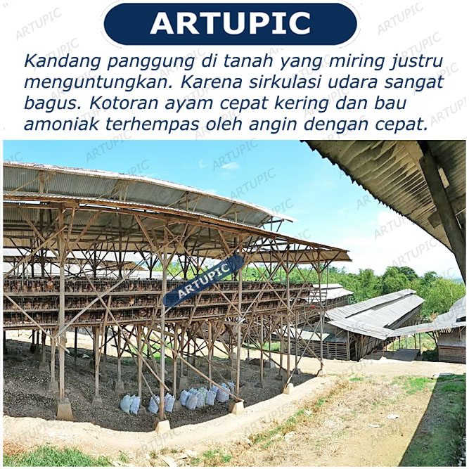 Faktor Penentu dalam Memilih Jenis Kandang yang Tepat