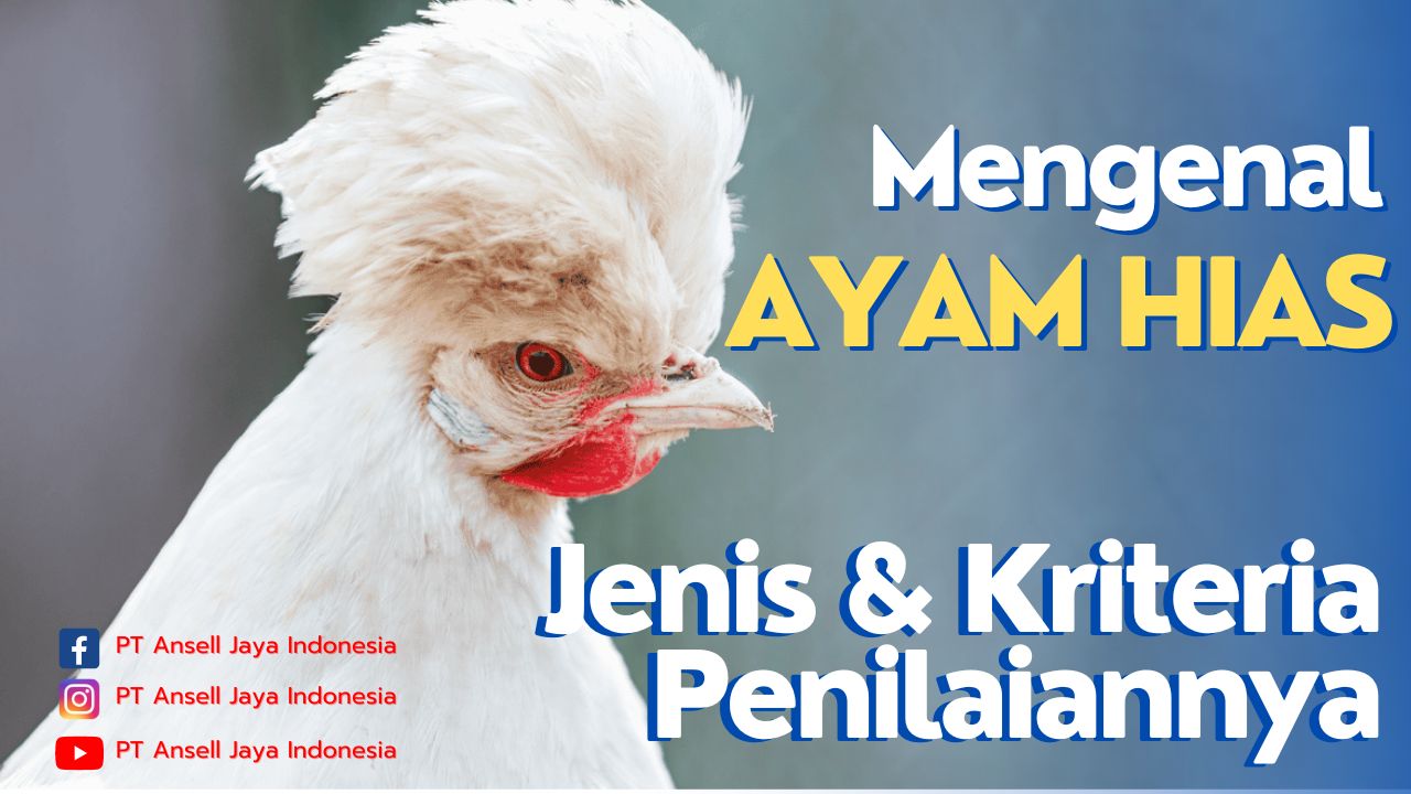 Fondasi Utama: Perawatan Dasar Sebelum Latihan