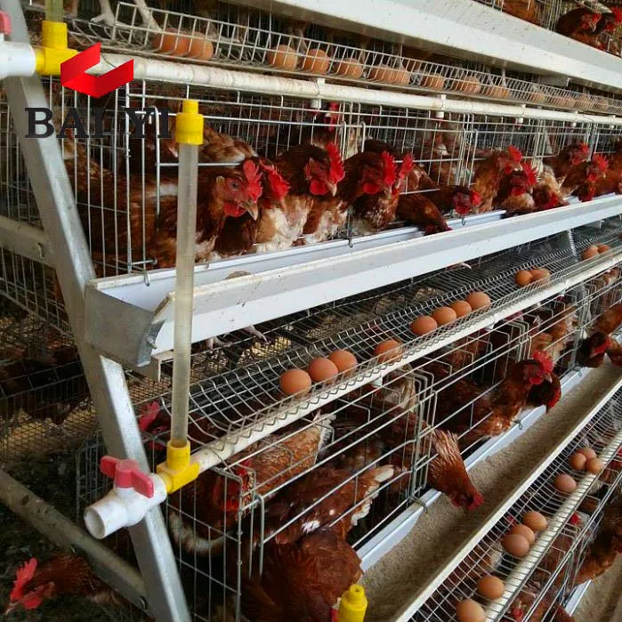 Implementasi Biosekuriti dan Manajemen Kesehatan
