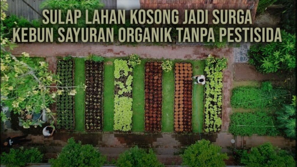 Integrasi Kandang Ayam dan Kebun Sayur: Solusi Cerdas untuk Panen Ganda di Lahan Sempit