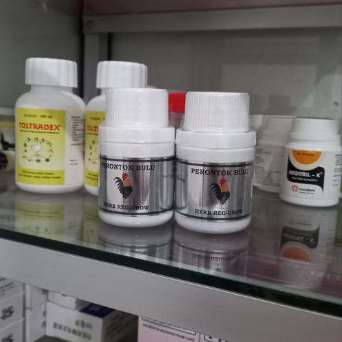 Jangan Panik! Ini Penyebab Bulu Ayam Hias Rontok Parah & Solusinya