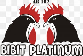 Jangan Salah Pilih! Cara Jitu Memilih Bibit Ayam Ketawa dengan Suara Juara