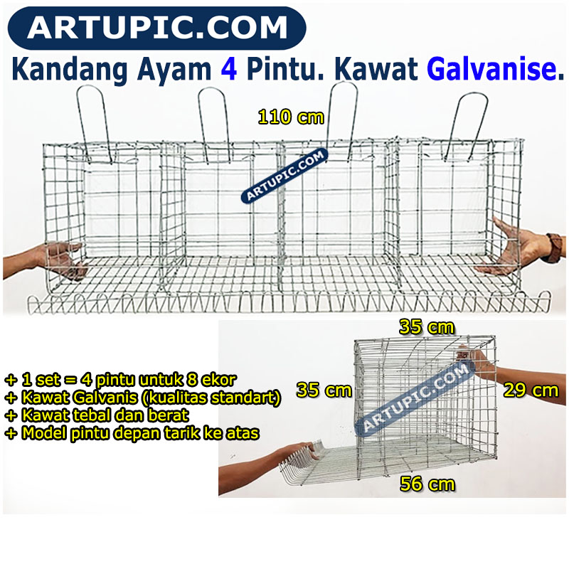 Jarak Ideal Antar Baris Kandang Baterai