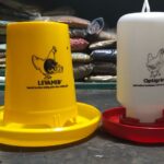 Jarak Ideal Tempat Pakan dan Minum Ayam: Kunci Sukses Ternak Broiler