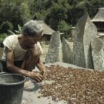 Kenali 3 Kopi Nusantara Paling Enak yang Mendunia