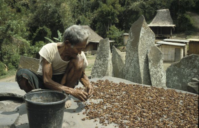 Kenali 3 Kopi Nusantara Paling Enak yang Mendunia