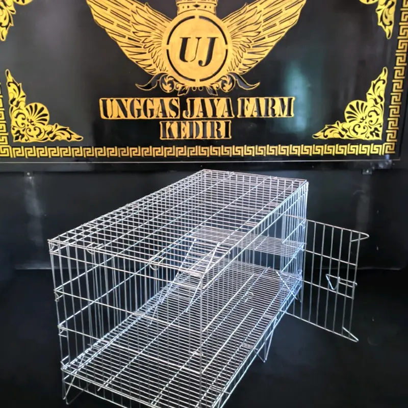 Kenali Musuh Anda: Perilaku dan Ciri Khas Musang