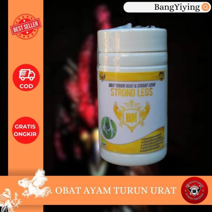 Kenali Penyebab Utama Kaki Ayam Hias Bengkak