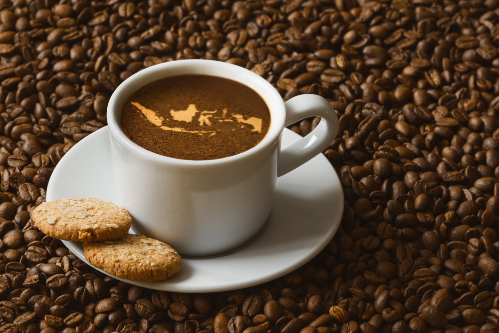 Kopi Arabika Toraja: Cita Rasa Eksotis dari Jantung Sulawesi