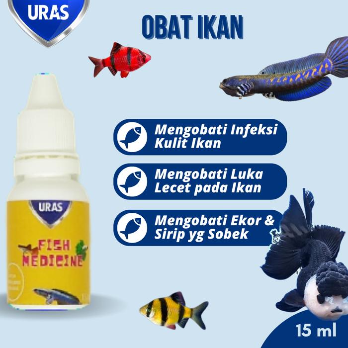 Langkah Awal dan Pertolongan Pertama