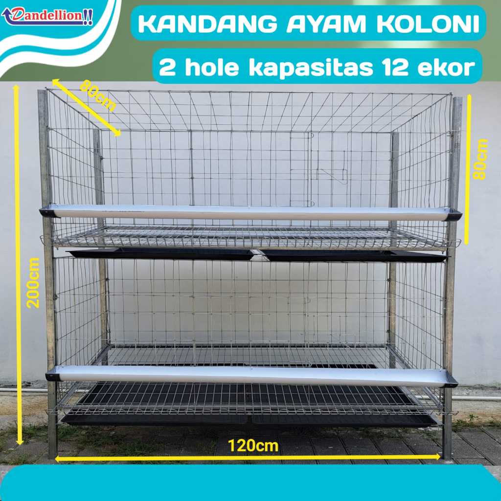 Langkah-Langkah Membuat Kandang Ayam Tingkat Sederhana