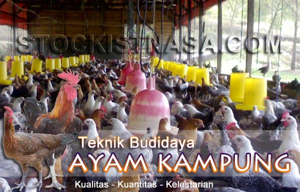 Material Ideal untuk Membangun Kandang