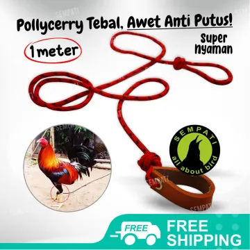Memilih Material Terbaik untuk Tenggeran Ayam