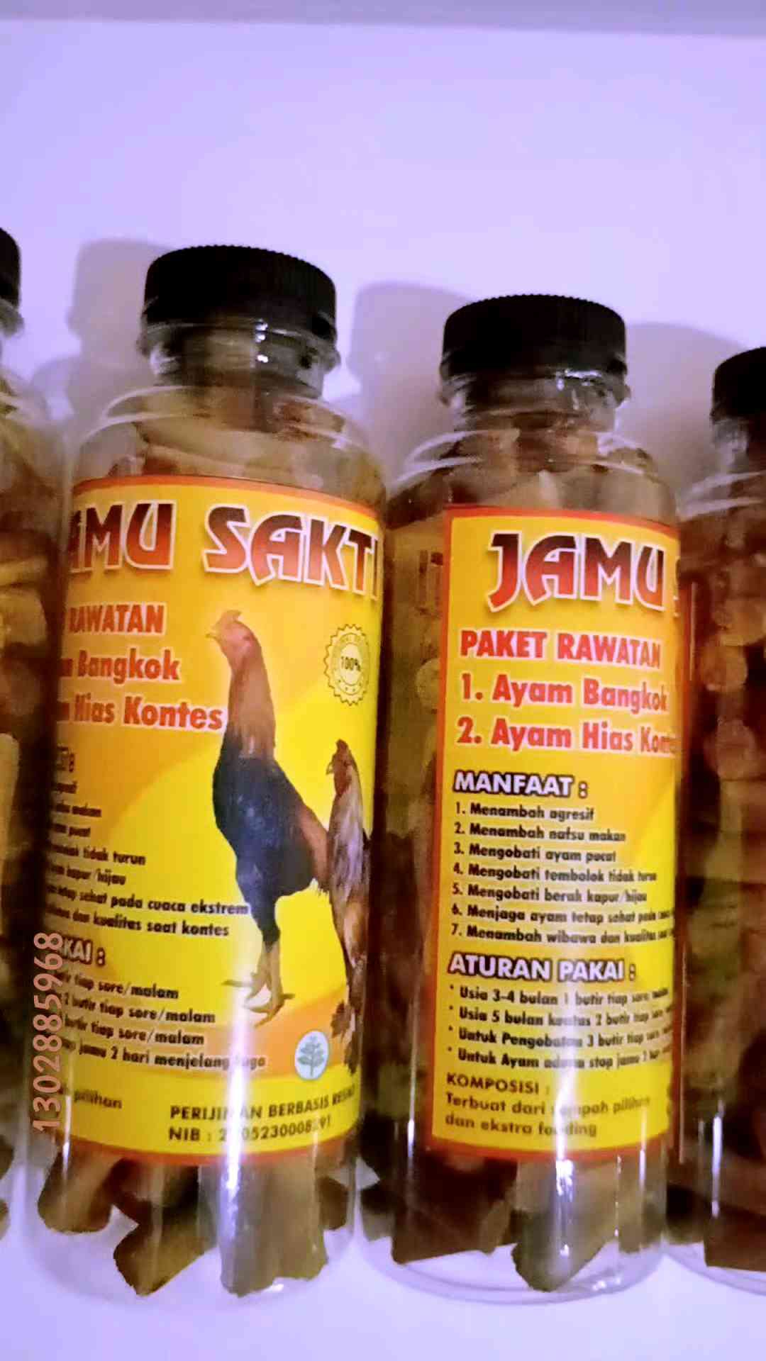 Mengapa Ayam Hias Membutuhkan Stamina Ekstra?