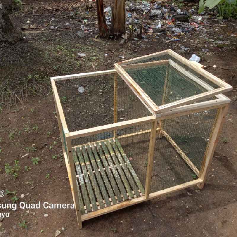 Mengapa Ayam Serama Membutuhkan Kandang Khusus?