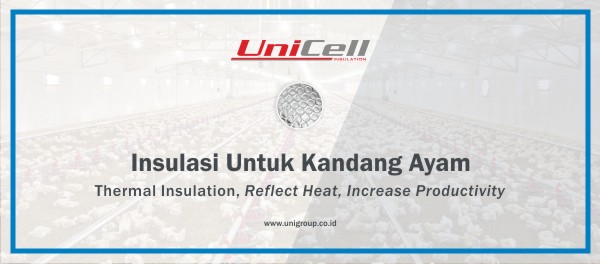 Mengapa Insulasi Kandang Ayam Sangat Penting di Musim Hujan?