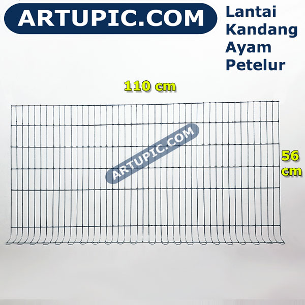 Mengapa Pemilihan Alas Kandang Sangat Krusial?
