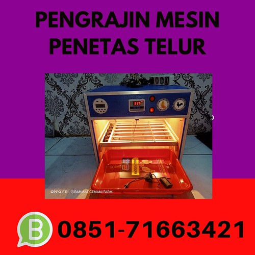 Mengapa Suhu Sangat Penting dalam Penetasan?
