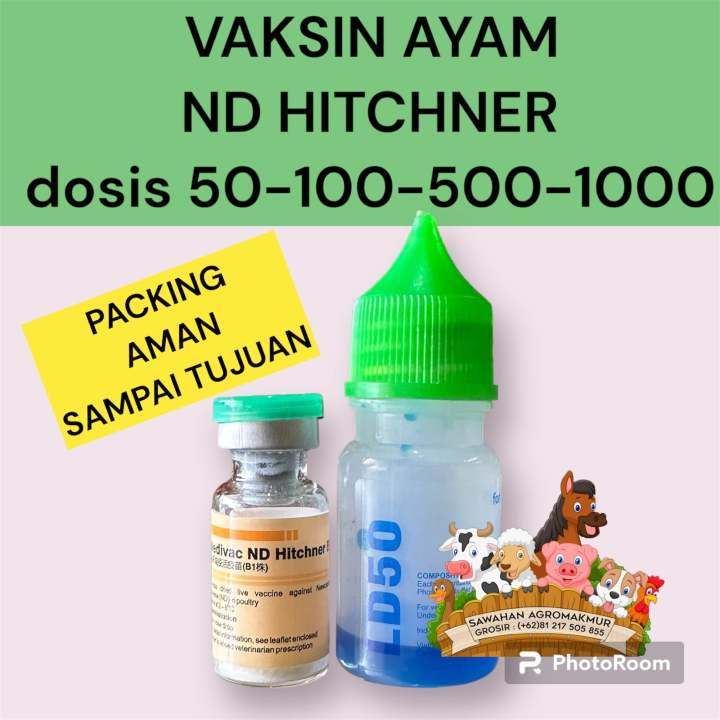 Mengapa Vaksinasi Sangat Krusial untuk Ayam Hias?