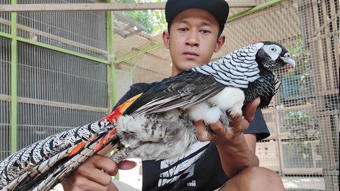 Mengatasi Masalah Umum dalam Perjodohan