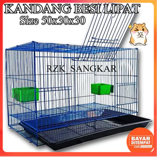 Mengenal Ancaman Musang bagi Peternakan Ayam