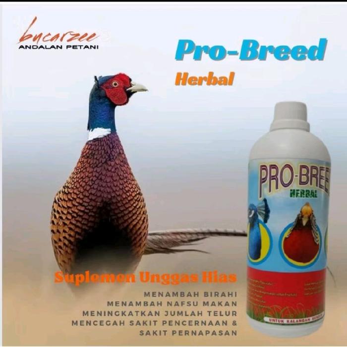 Mengenali Penyebab Utama Ayam Hias Sering Sakit