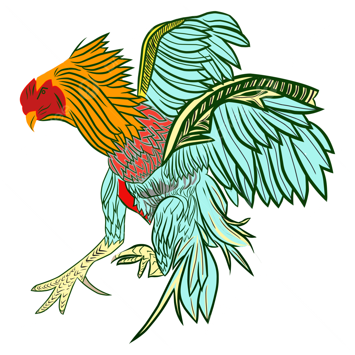 Mengungkap Rahasia Ayam Bangkok Juara: Ciri Khas, Pukulan Mematikan, dan Perawatan Istimewa