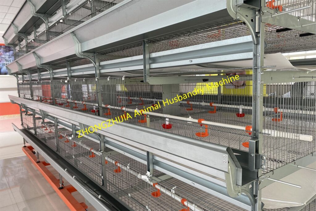 Mengupas Tuntas Sistem Pencahayaan Kandang Ayam Petelur Modern untuk Produksi Maksimal