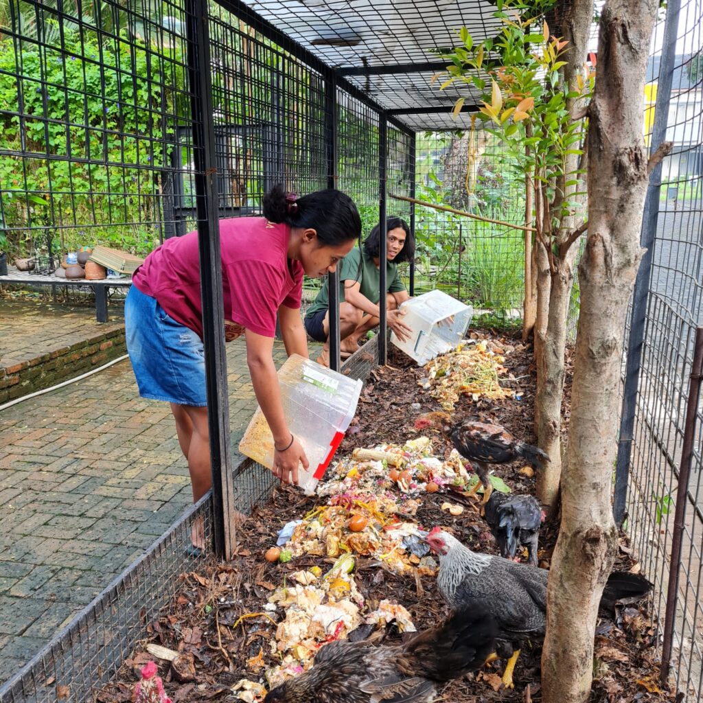 Panduan Lengkap: 7 Faktor Penting Memilih Lokasi Kandang Ideal di Pekarangan
