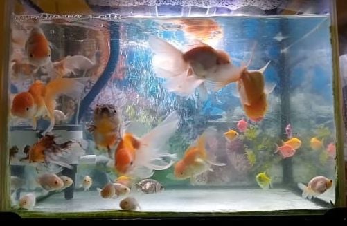 Parameter Air Lain yang Terpengaruh oleh Suhu