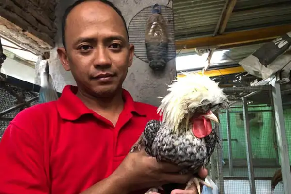 Pemanfaatan Bahan Alami Penyerap Bau