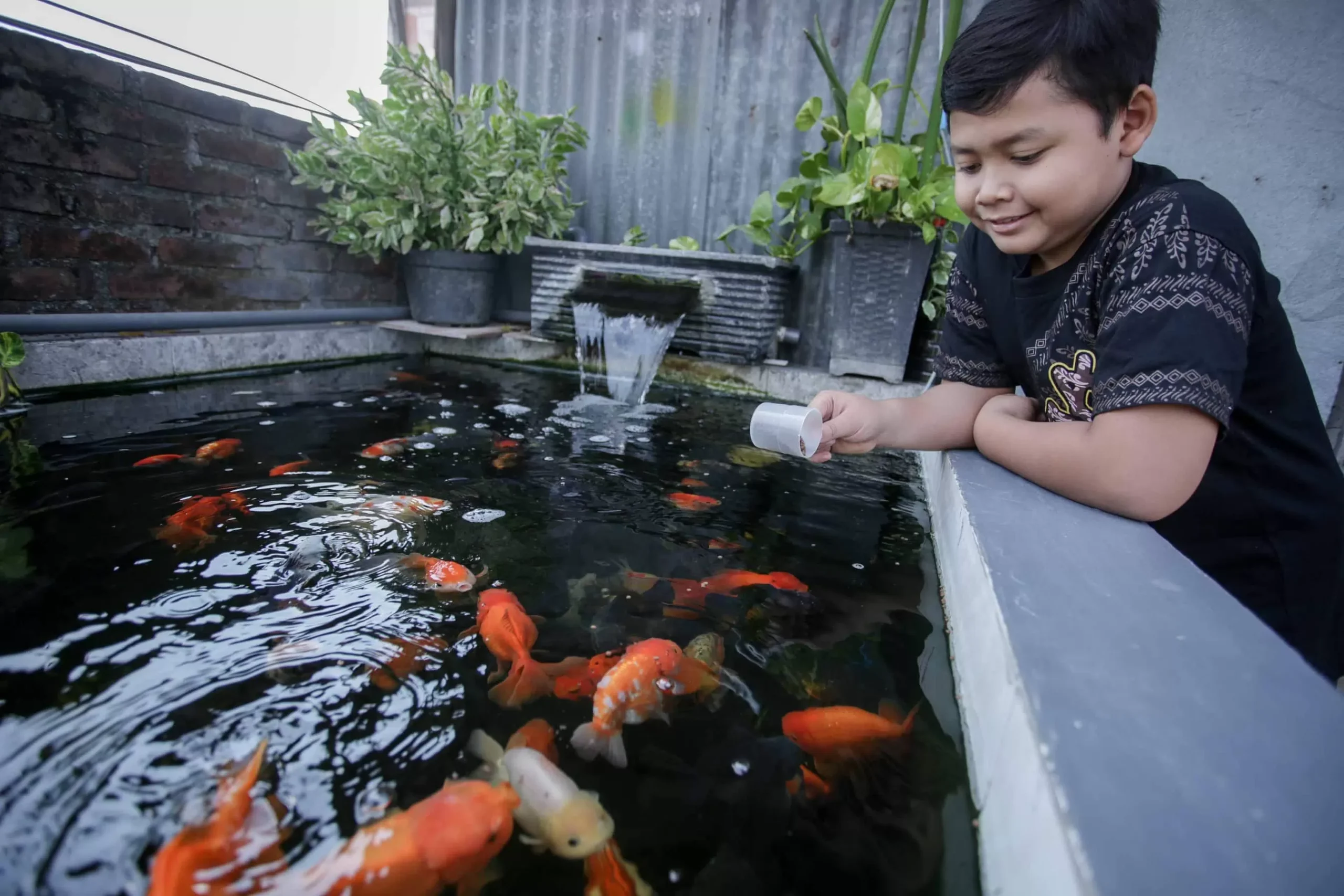 Pemantauan Pasca-Pemindahan