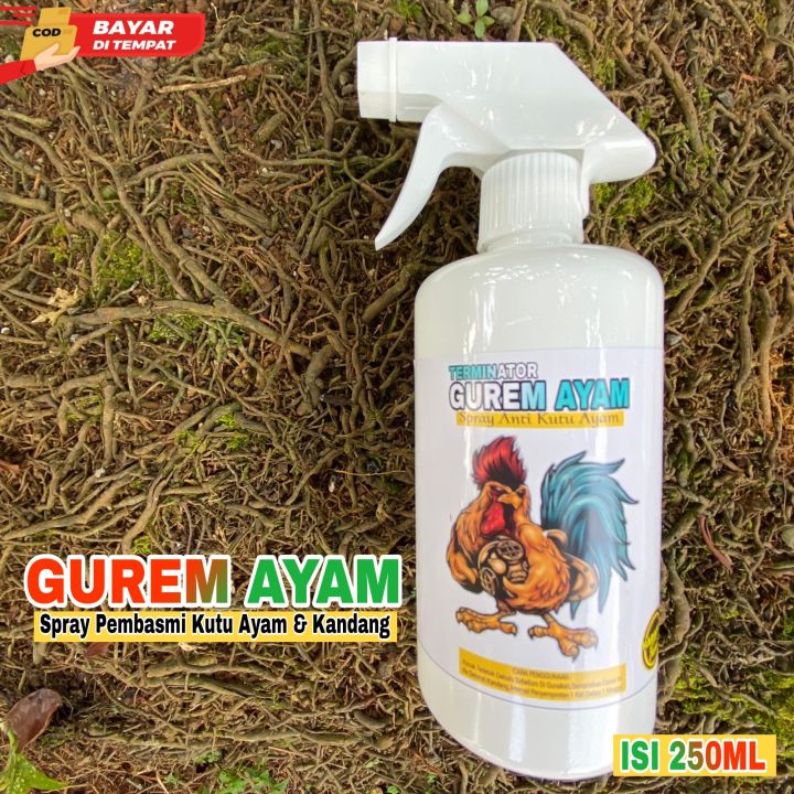 Pengendalian Lalat Secara Menyeluruh