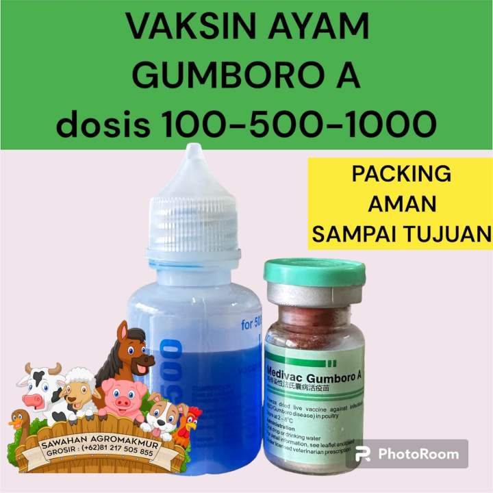 Pentingnya Biosekuriti sebagai Pendukung Vaksinasi