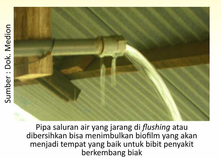 Pentingnya Saluran Air yang Baik untuk Kandang