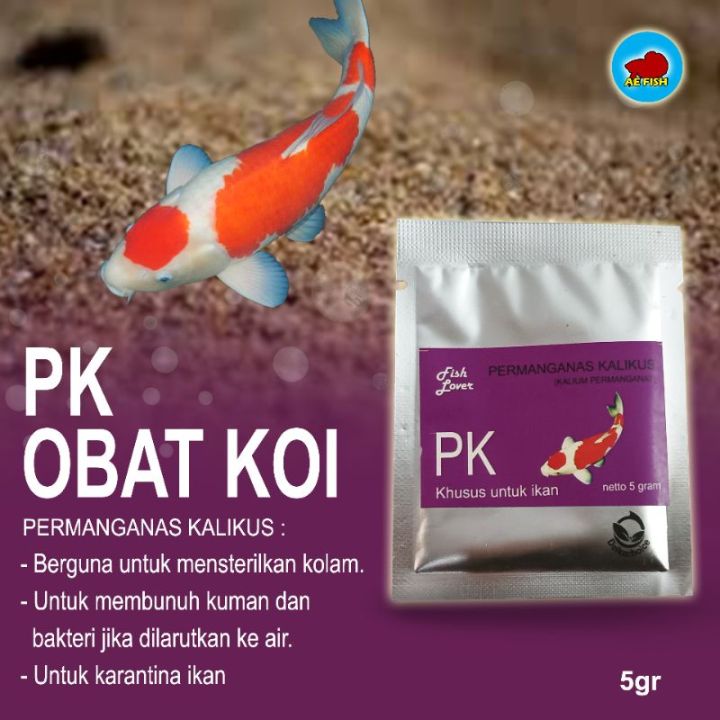 Persiapan Akuarium Karantina yang Ideal