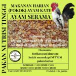 Rahasia Racikan Pakan Ayam Hias Ampuh: Cepat Besar, Sehat, dan Berbulu Indah!