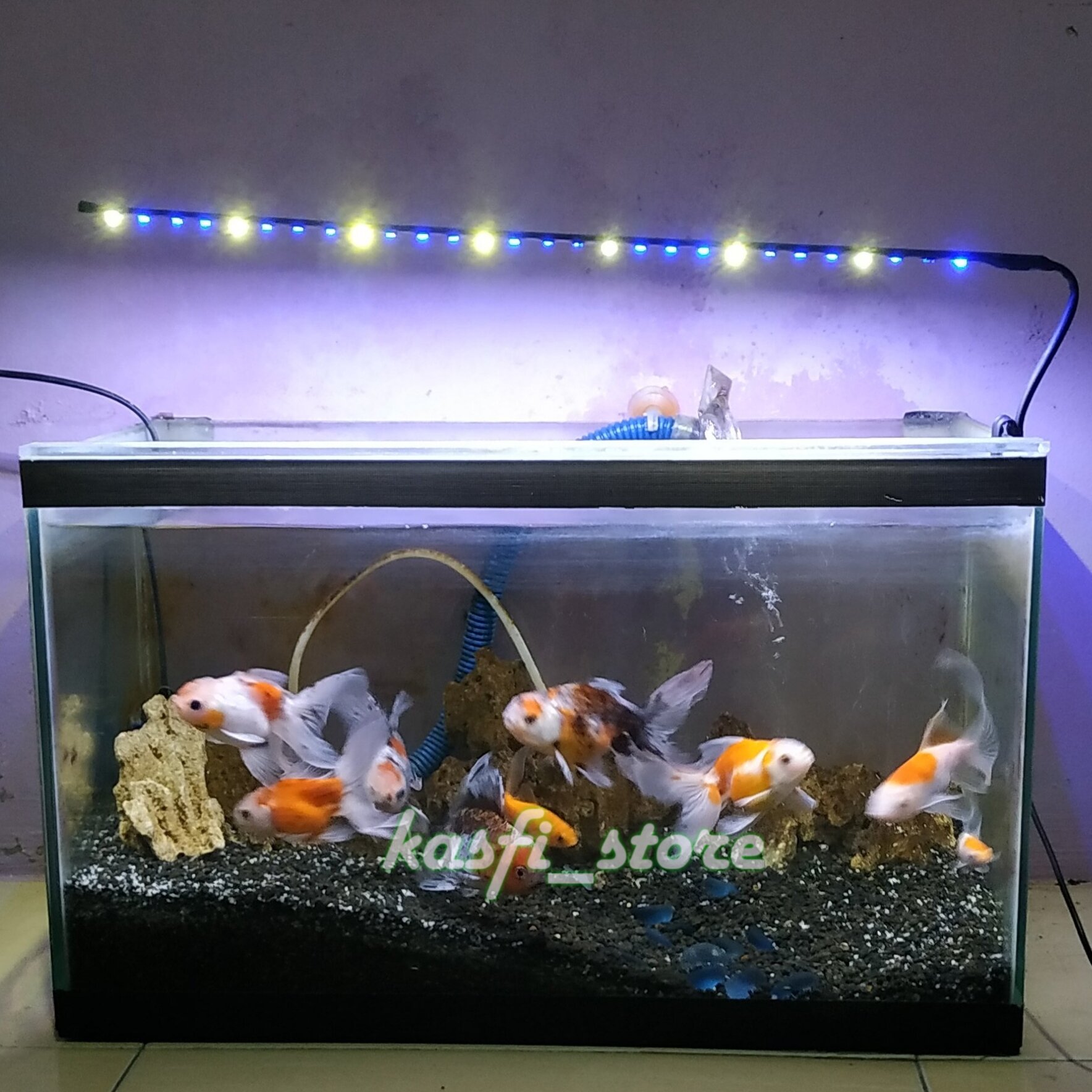 Rekomendasi Merek dan Model Lampu Ekonomis