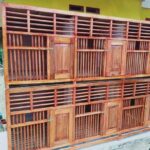 Rincian Biaya Renovasi Kandang Ayam Kayu Menjadi Permanen: Panduan A-Z