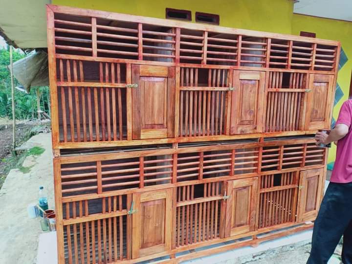 Rincian Biaya Renovasi Kandang Ayam Kayu Menjadi Permanen: Panduan A-Z