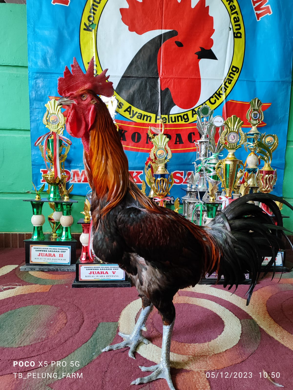 Sejarah dan Pentingnya Standarisasi Penilaian